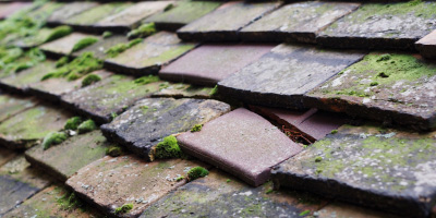 Castle Heddingham roof repair costs
